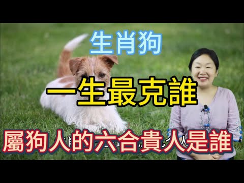 狗生肖六合