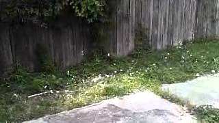 Be Still My Heart by The Postal Service Cover