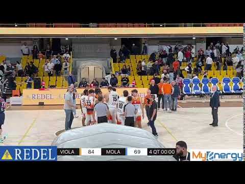 SERIE B VIOLA VS MOLA