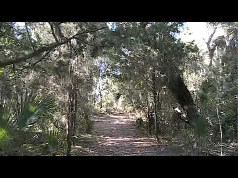Cedar Key - Shell Mound Video 1