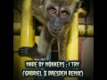 Made By Monkeys - I Try (Gabriel & Dresden Remix ...