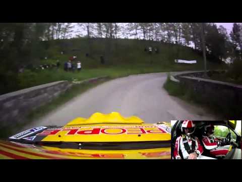 Taro 2014 ghelfi ps1 "Bardi"