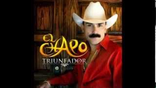Te Amo - El Chapo De Sinaloa 2012
