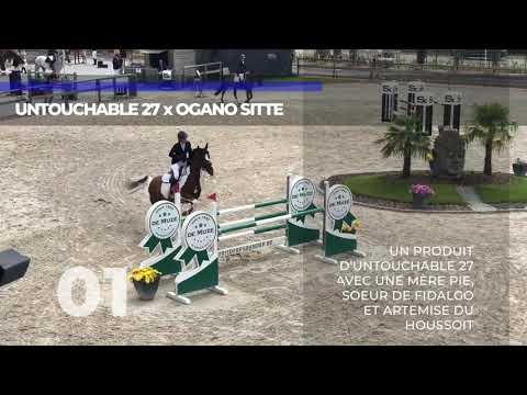 01 UNTOUCHABLE 27 x OGANO SITTE