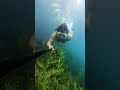 Underwater Blue Lake