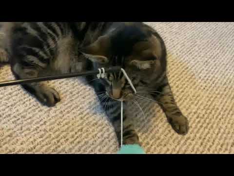 River The SAVAGE/ River Ep:2