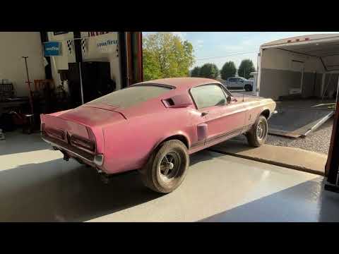 Thumbnail for BARN FIND!!! Pink 1967 Shelby GT500 4 Speed FOUND! by Car