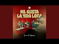 Me Gusta La Vida Loca