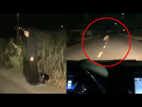 Cele Mai Stranii Filmari Din Romania