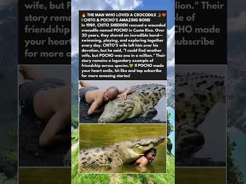 🔥 THE MAN WHO LOVED A CROCODILE 🐊❤️ | CHITO & POCHO’S AMAZING BOND