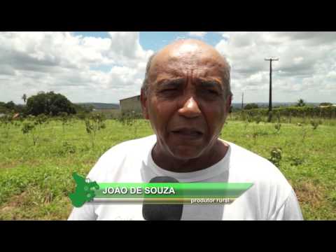 SERGIPE RURAL PROGRAMA 17