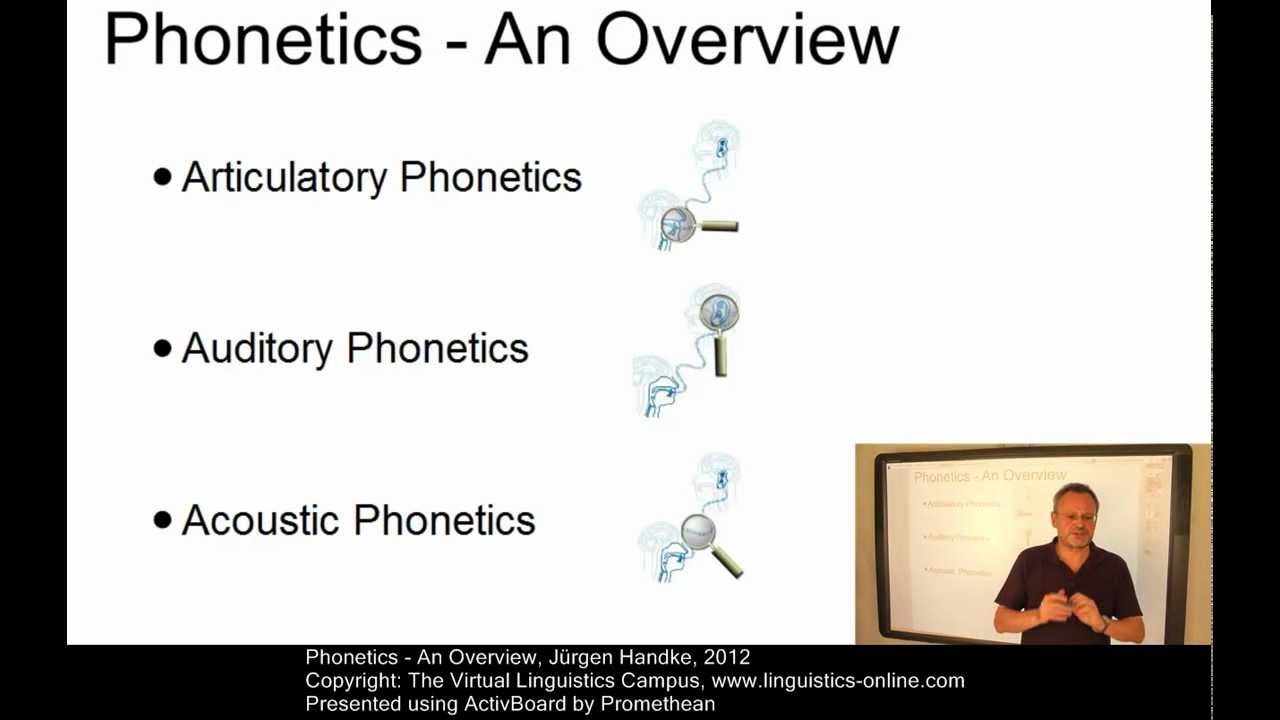 What are types of phonetics?