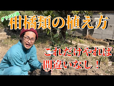 寒さに強い柑橘類をご存知ですか?知っておきたい丈夫な木ベスト3! 庭園