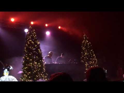 Does A Bear SHiZ in the Woods - GRiZmas 2018 pt. 2