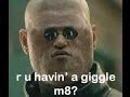 r u having a giggle m8? 