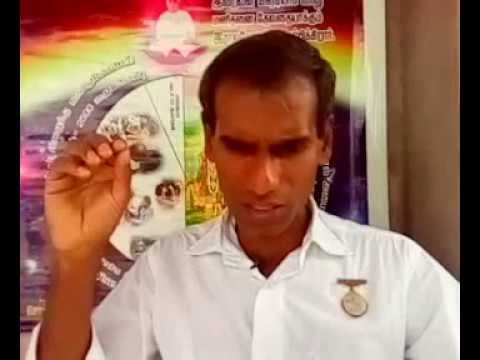 29 July Tamil murli: Children equals Mahatma as long as they are free from vices - BK Saravana Kumar