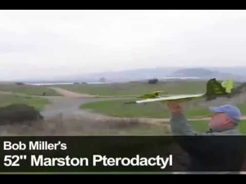PteroWorks 52" Pterodactyl kit built by Bob Miller