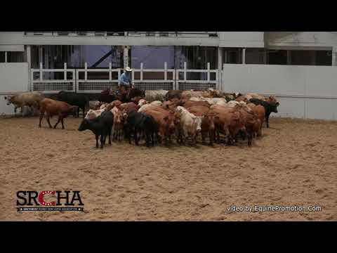 SJR Royal Diamond shown by Justin Wright   2021 SRCHA Pre Futurity Open Futurity, Herd