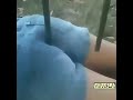Ass Fuck