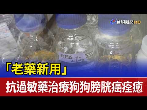 2025/5/5 台視新聞網 「老藥新用」 抗過敏藥治療狗狗膀胱癌痊癒