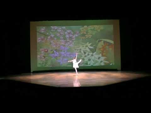 Video mp4  talisman mami variacion