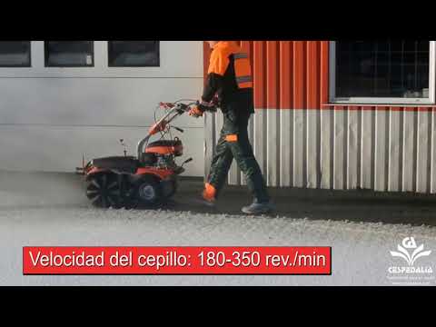 Quitanieves Hecht 8101S