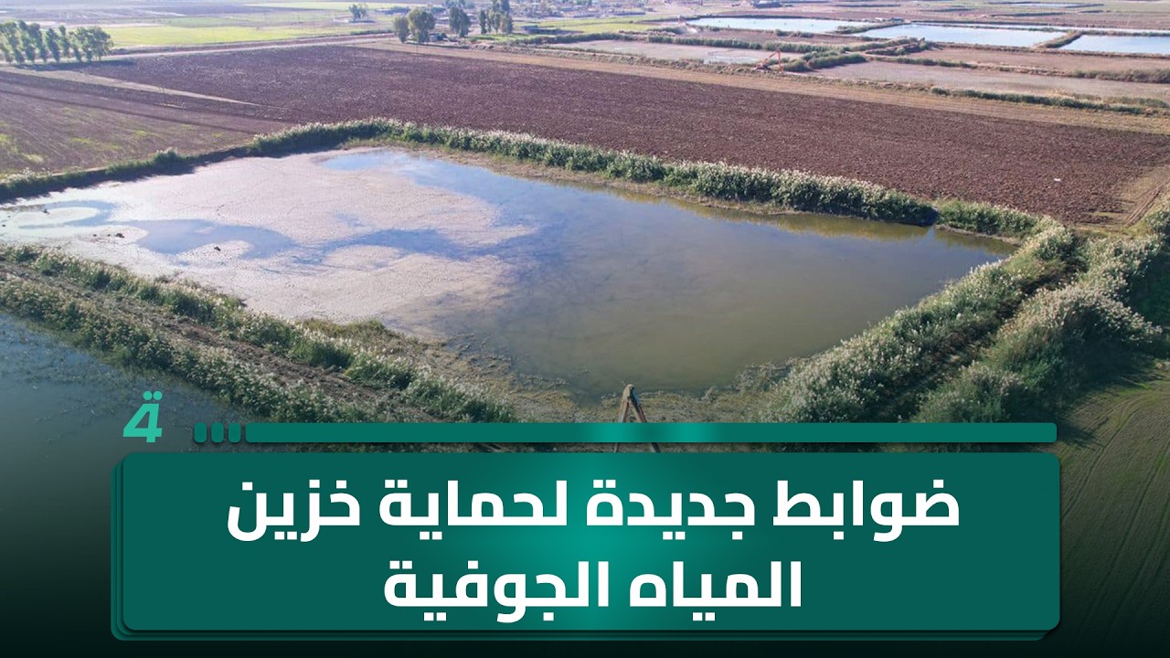 فيديو | الزراعة: صادرات التمور تجاوزت الـ600 ألف طن.. ضوابط جديدة لحماية خزين المياه الجوفية