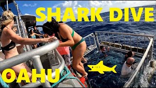 SHARK DIVE bucket list adventure in Oahu, Hawaii