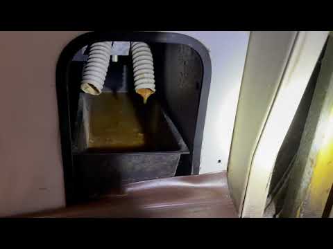 Restaurant Hot Bar Has Drain Flies in Sewaren, NJ