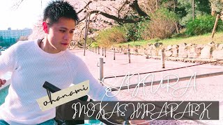 [遊記] 井之頭公園！櫻花終於滿開啦！