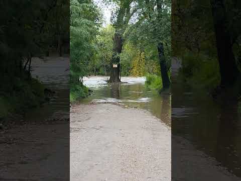 #Agua #RioDesbordado #SantaRosa Valle de #Calamuchita #Cordoba cobertura #LaNacion+ #Tortolo 4 4 26