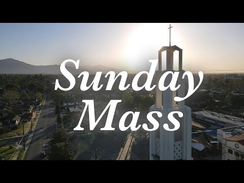 Sunday Mass 10/23/2022 with Fr David, Saint Therese Church