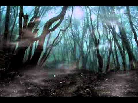 Woods of Infinity- Genever