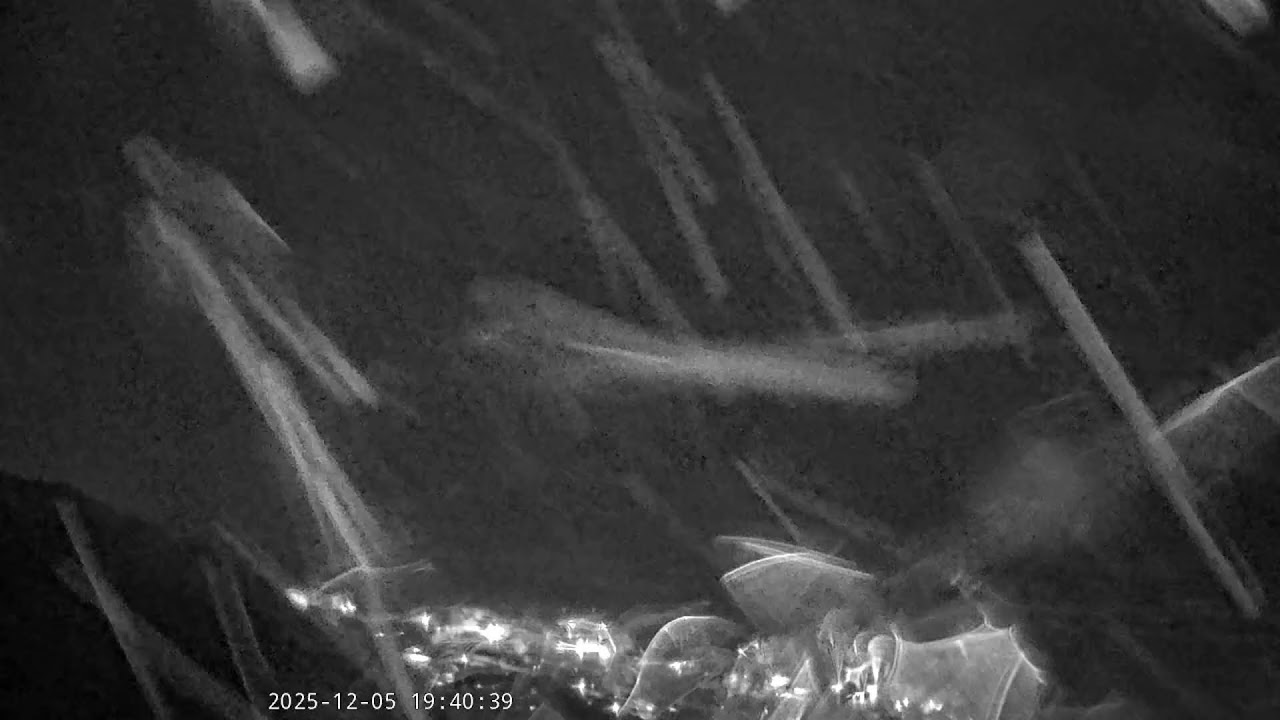 中央氣象署宜蘭外澳2