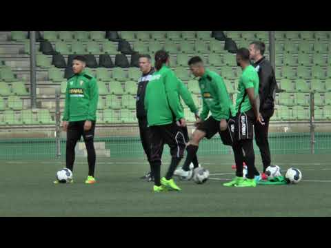 Ook supporters FC Dordrecht bij vechtpartijen