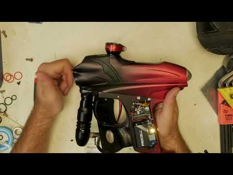 Alligator Sparkfun : couleur ProtoSnap