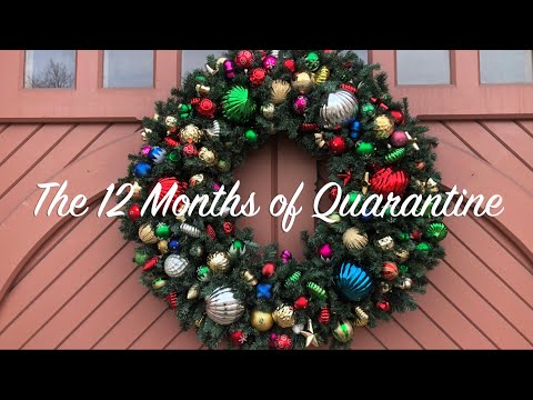 The 12 Months of Quarantine