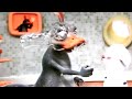 Sneezing sheep  XD