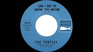 1966 Turtles - Can I Get To Know You Better (mono 45)