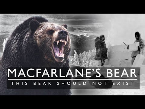 This Bear Should Not Exist! The MacFarlane Bear, 1864