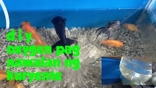 DIY aquarium oxygen na pwedeng gamitin pag brownout by Jerry's Aquatics