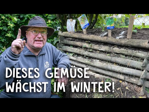 , title : 'Hochbeet winterfest bepflanzen! 🥬 Rosenkohl, Knoblauch & Salat - Selbstversorgung im Winter'