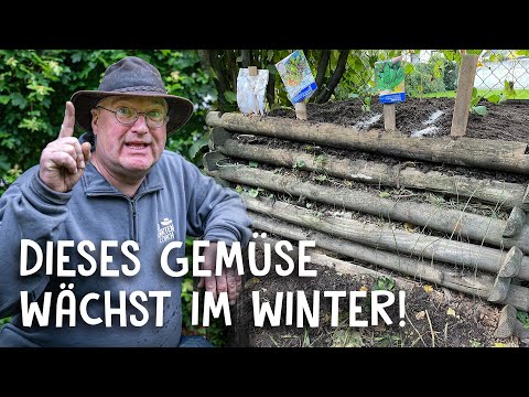 Plant your raised bed for winter! 🥬 Brussels sprouts, garlic & lettuce – self-sufficiency in winter