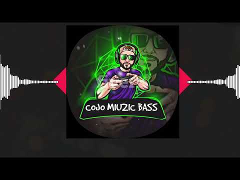 Gheboasa x Alberto Guta x Ursaru  Etichete Remix/bass