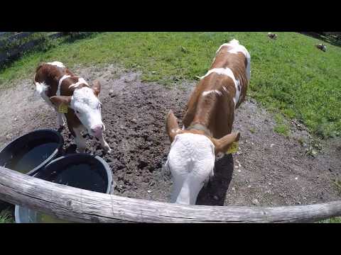 Hiking Bavaria Tegernsee Leonhardstein GO PRO