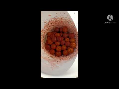 sessione di una notte a carpe giganti ...carpfishing in cava  bellissime carpe  e catture 🔥