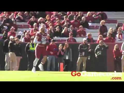 Gamecocks honor 2014 football seniors