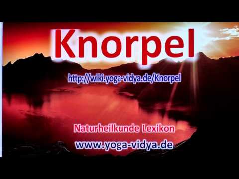 Arthrose des Kniegelenks Zerstörung Treatment Hüftoperation in der Heimat