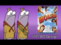 Opening To Holes 2003 DVD