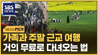 주말 국내 여행 계획하신다면..'최대 20만 원' 환급받는다 (에디터픽) / SBS